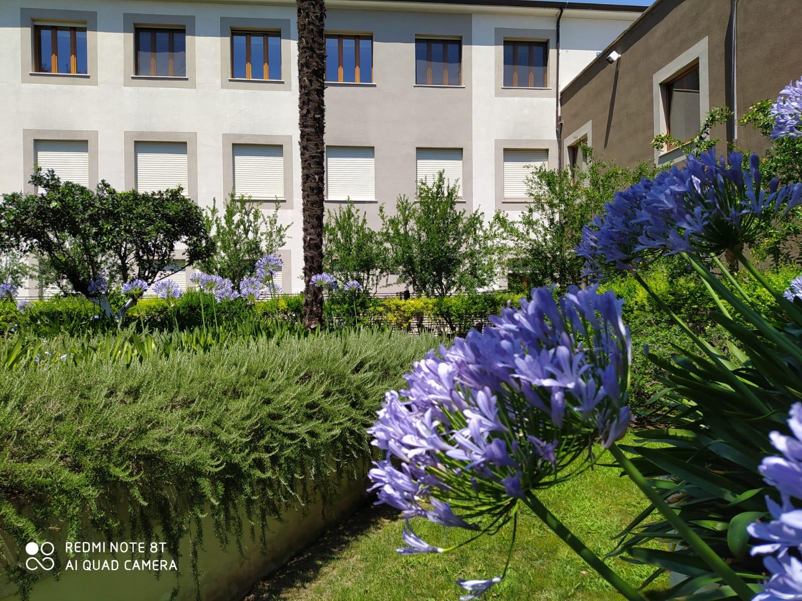 Hotel Il Cantico St. Peter Ρώμη Εξωτερικό φωτογραφία